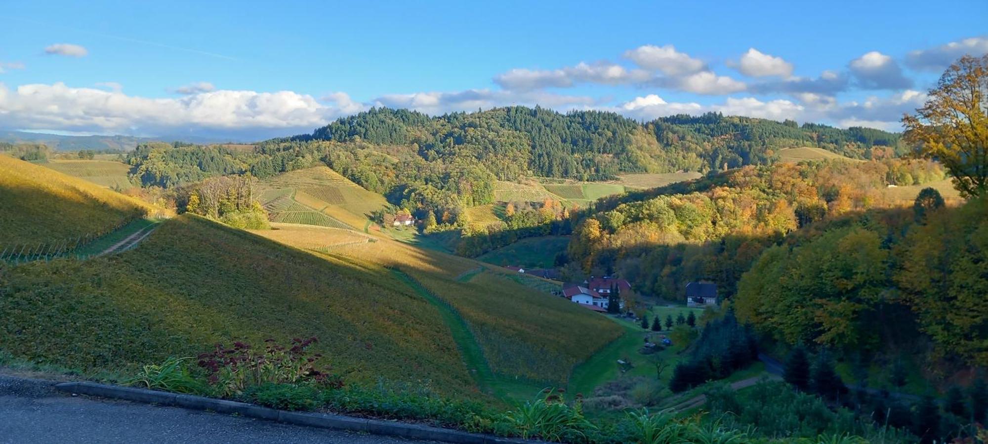 Schwarzwaldglueck Oberkirch (Baden) Exterior foto