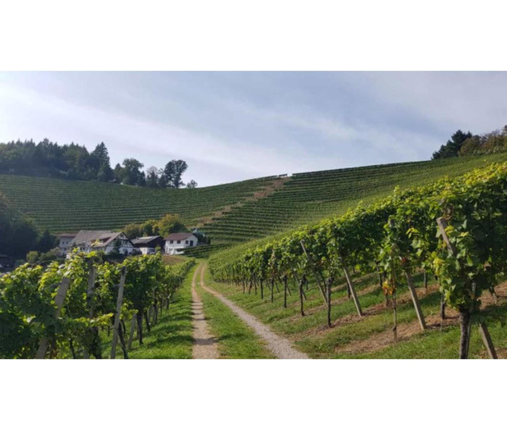 Schwarzwaldglueck Oberkirch (Baden) Exterior foto